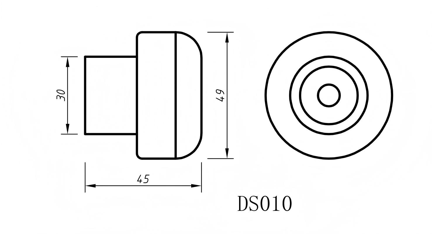 DS010-