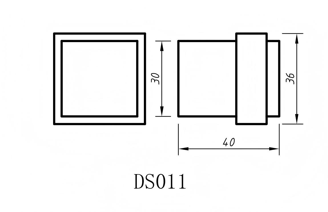 DS011-