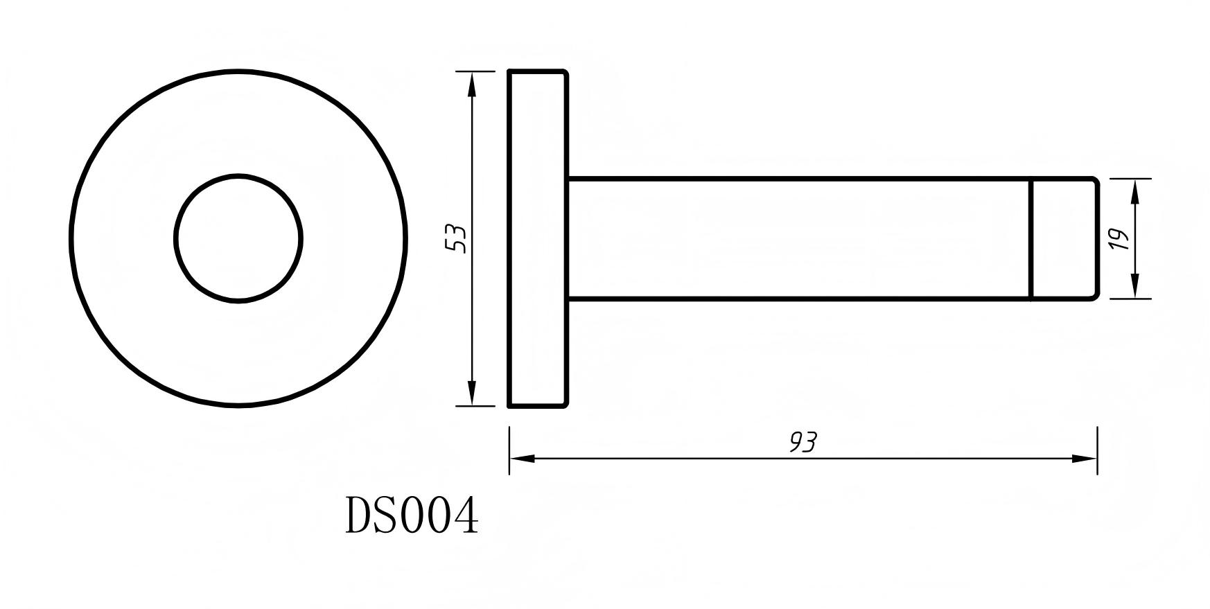 DS004-