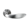 Solid Lever Handles- LH037