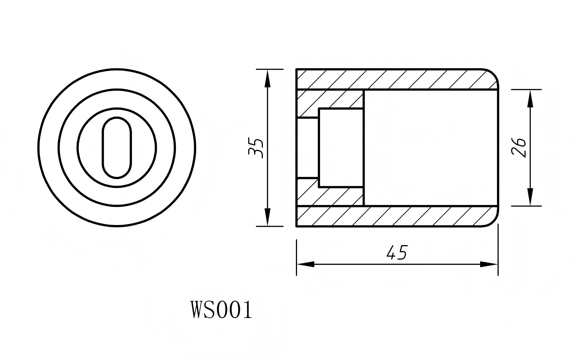 WS001