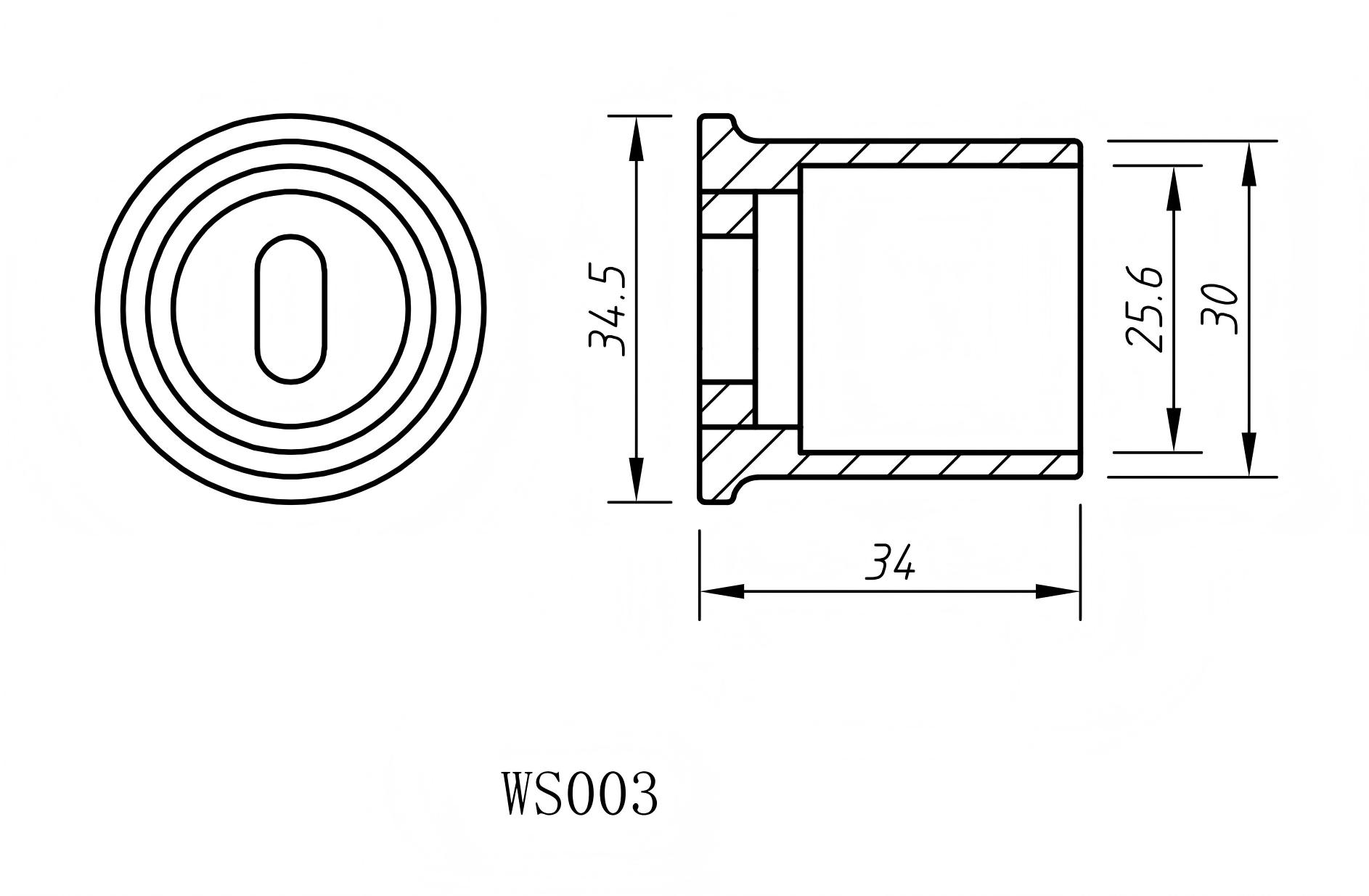 WS003