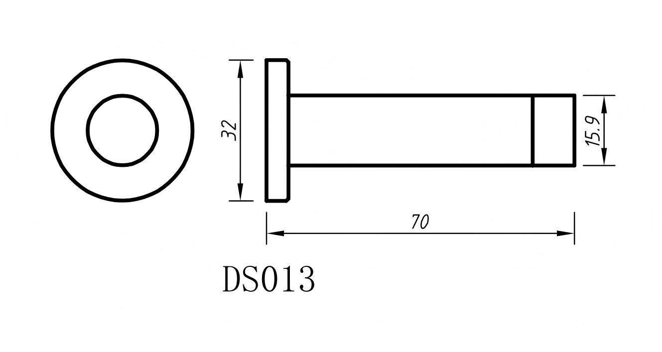 DS013