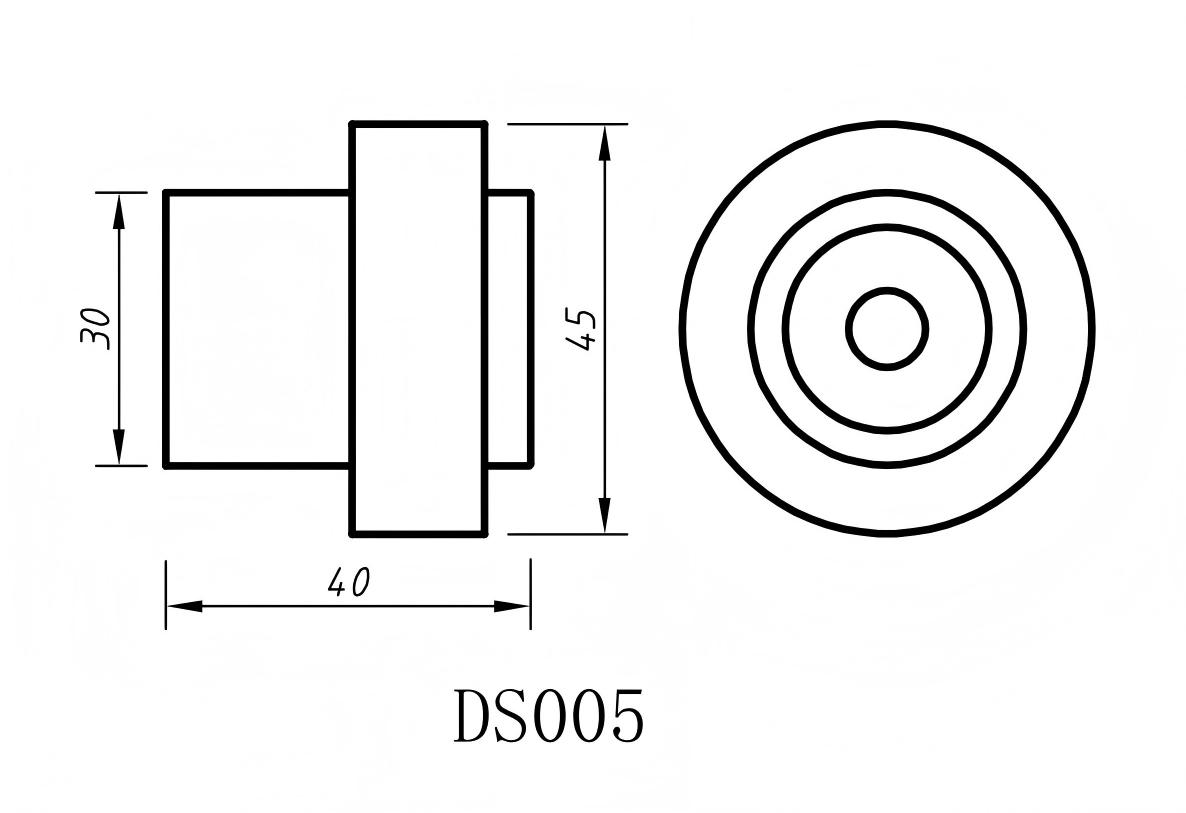 DS005