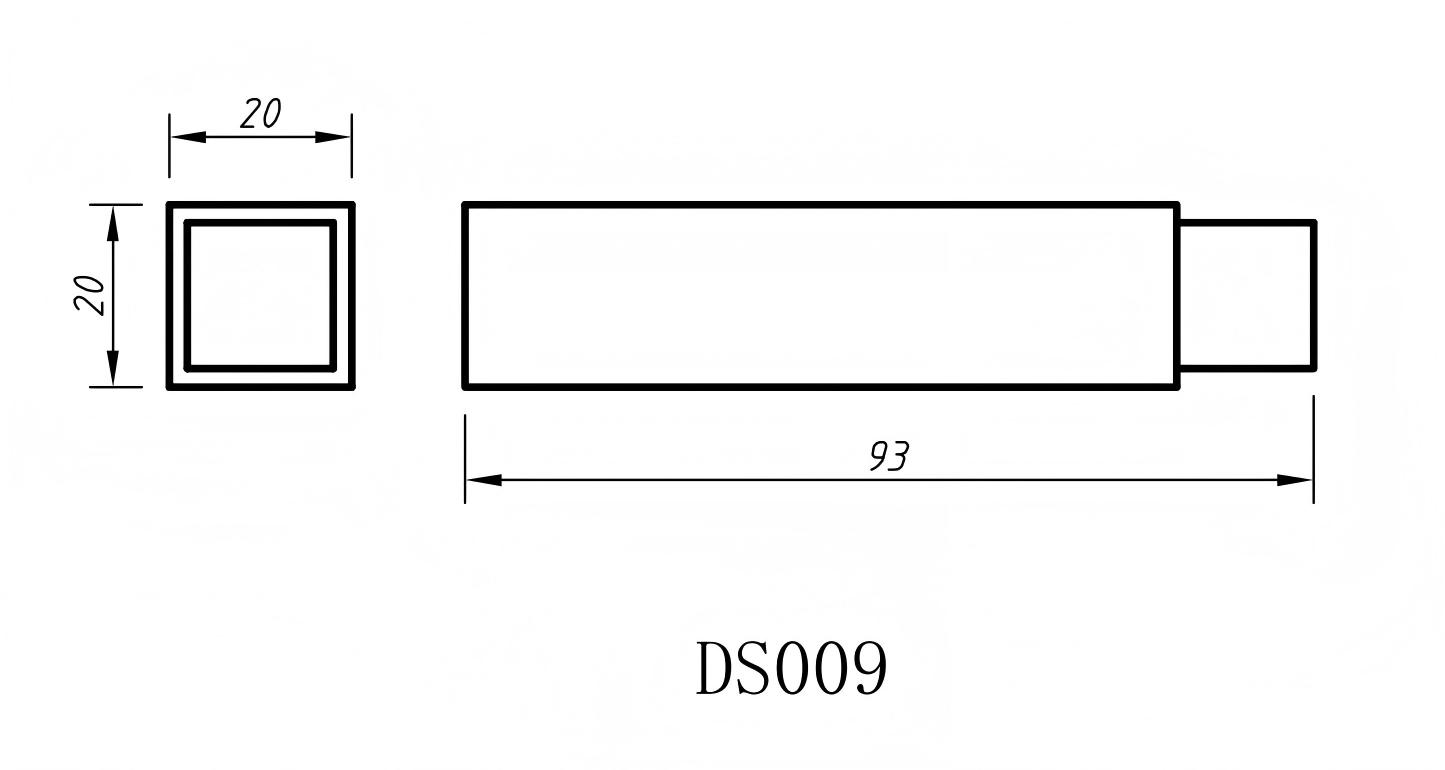 DS009-