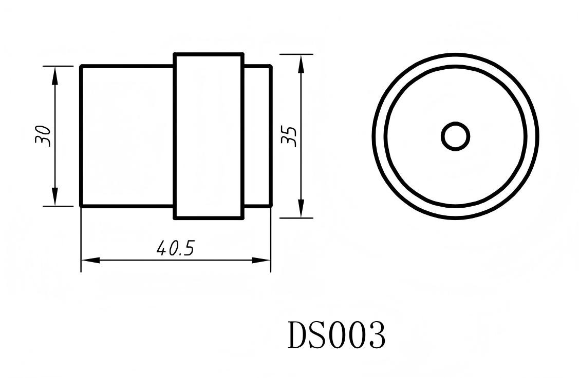 DS003-