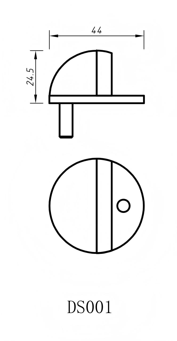 DS001-