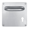 Lever Handles with Plate-TP001A