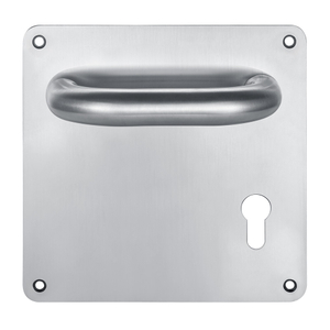 Door Handle with Plate- TP001A