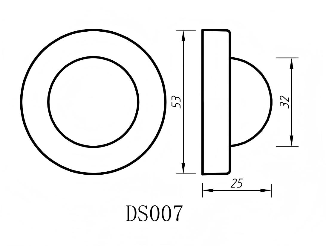 DS007